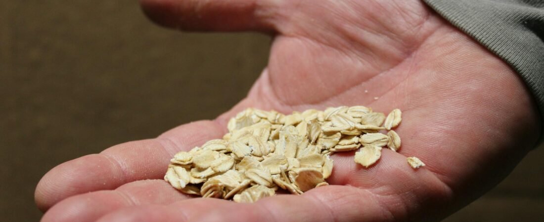 Best Plant-Based Protein Alternatives In The USA