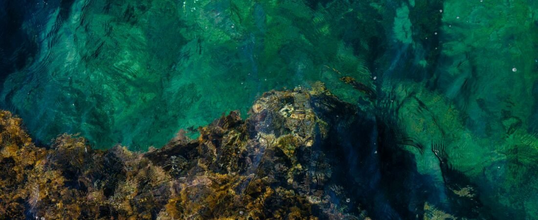 Green Bay Packers Depth Chart