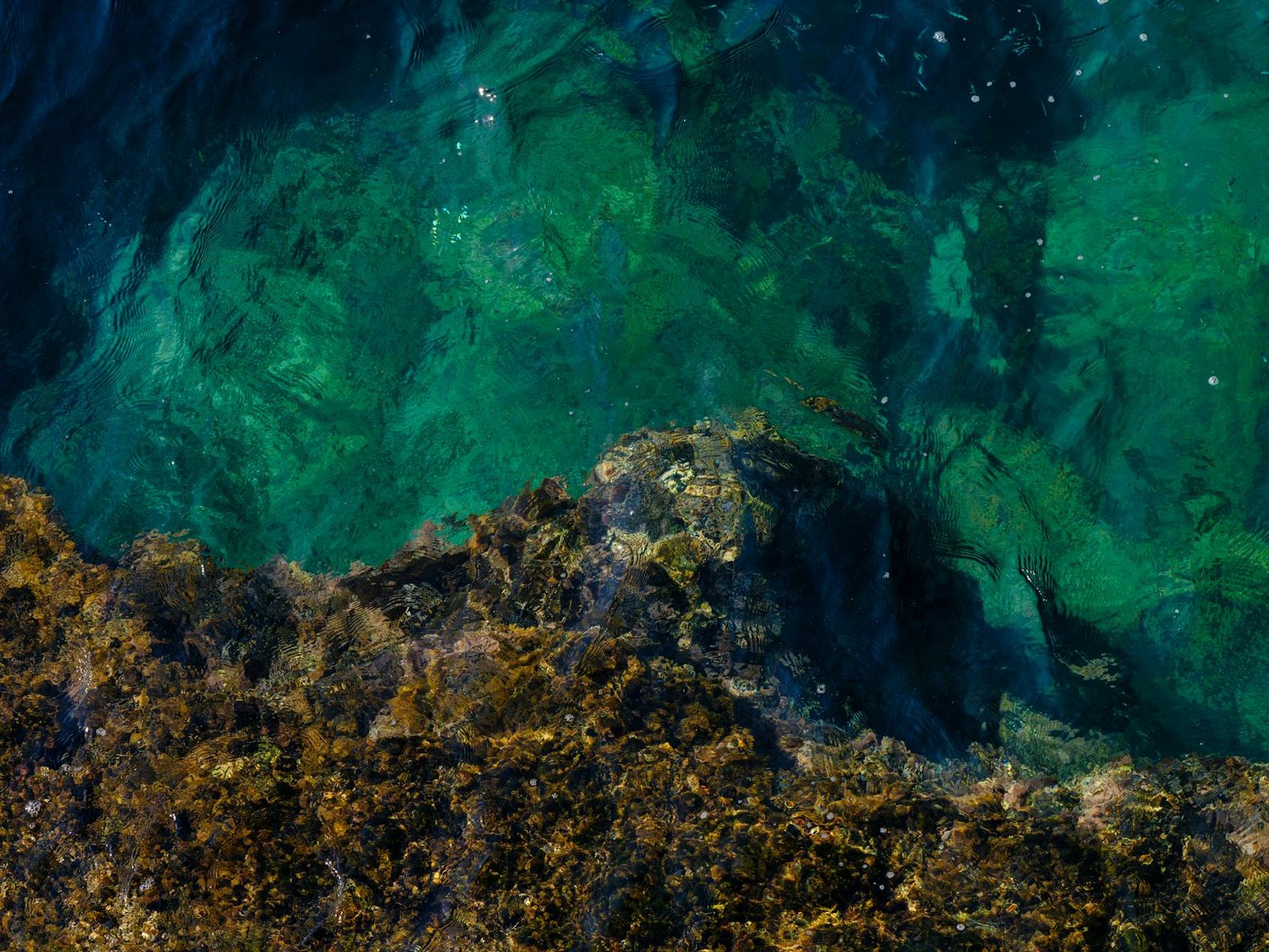 Green Bay Packers Depth Chart