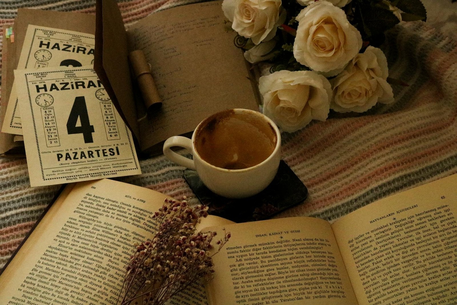 Borderlands 4 Release Date