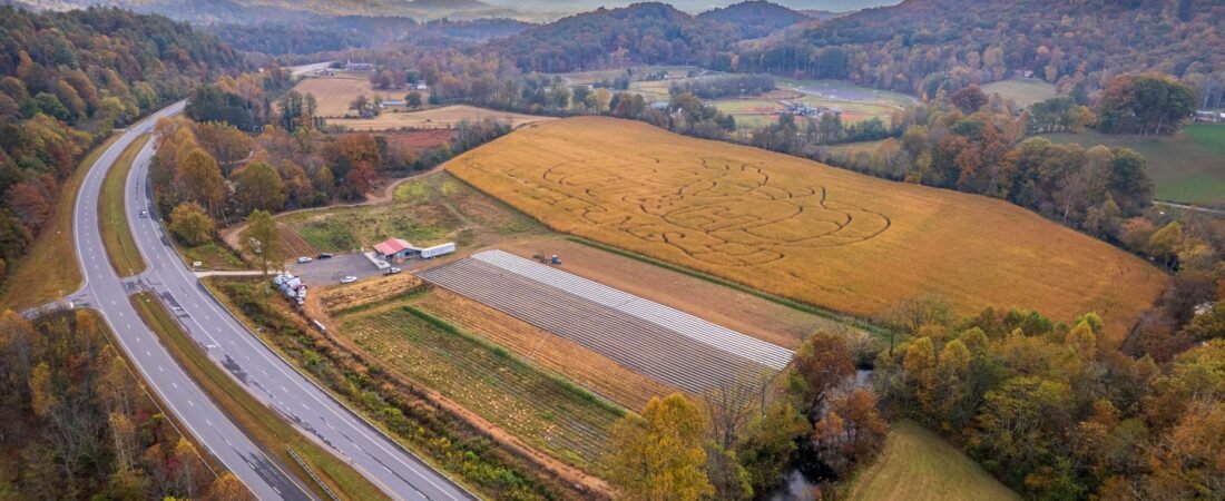 Nc State Vs Wake Forest