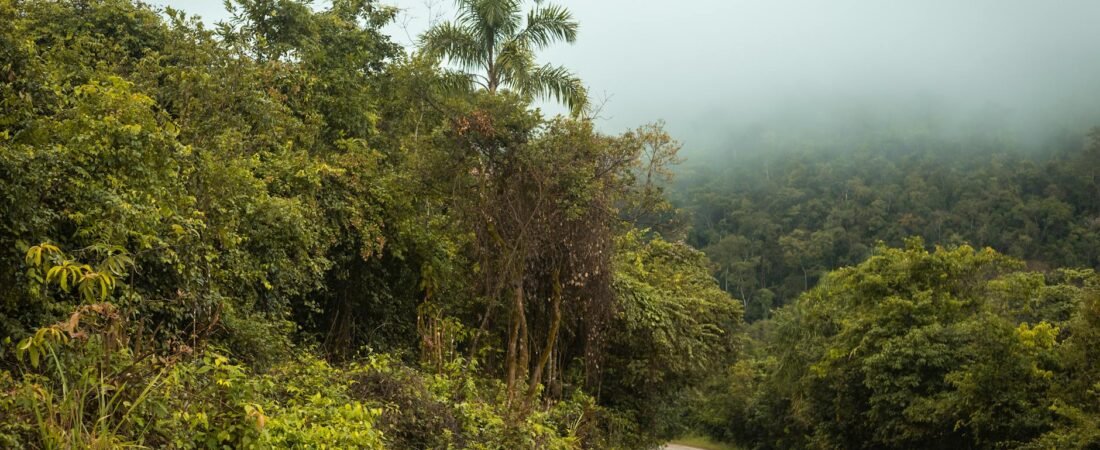 Gretchen Felker-martin