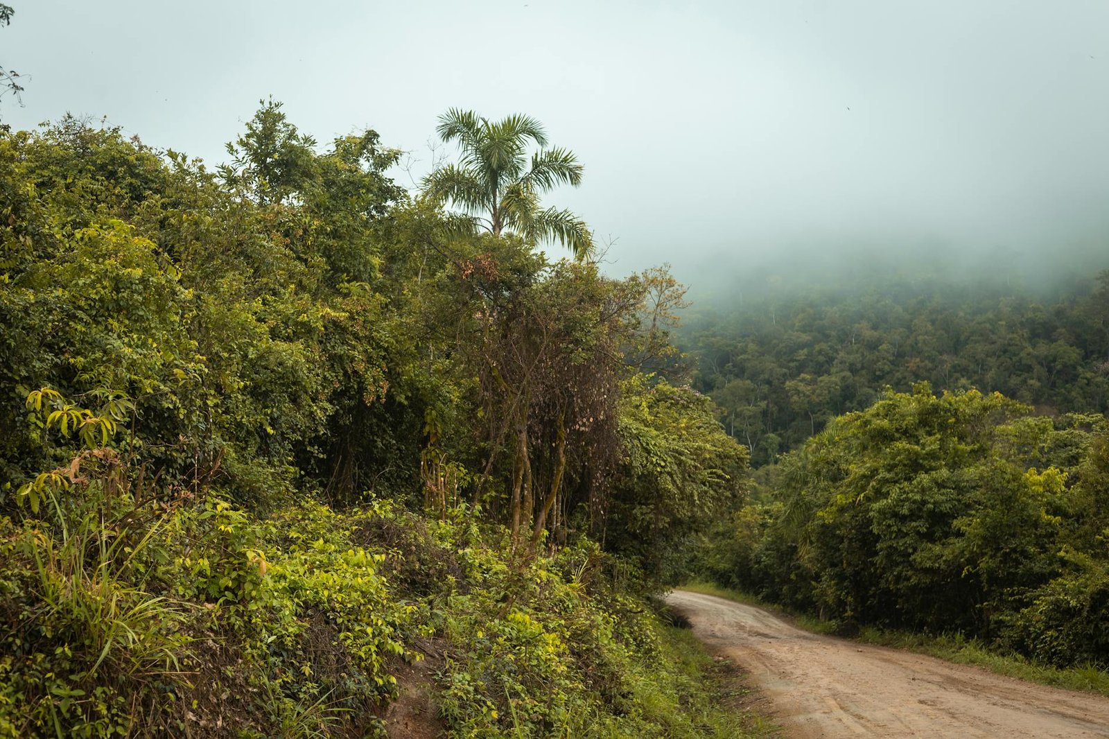 Gretchen Felker-martin