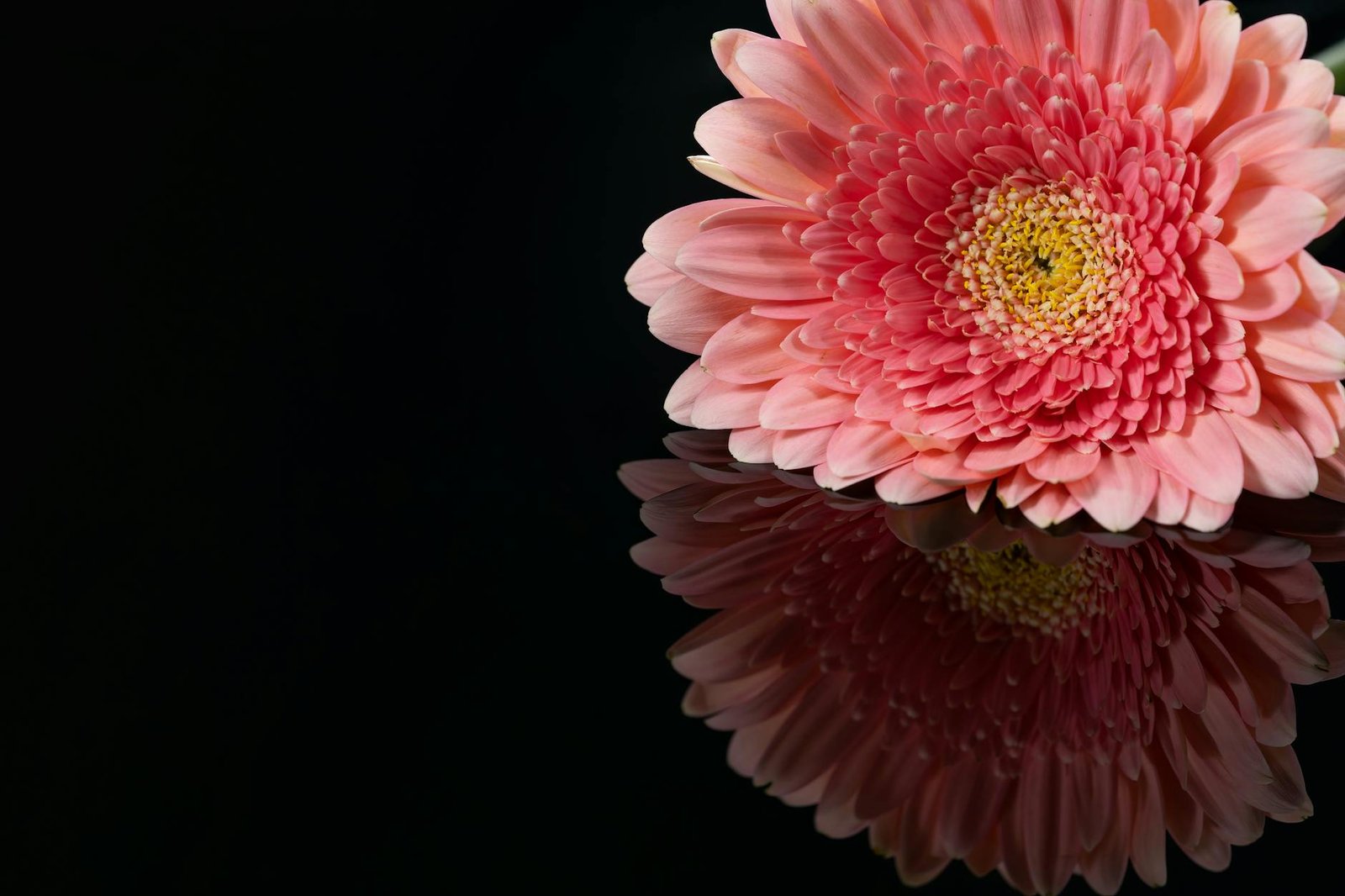 Stefon Diggs Net Worth