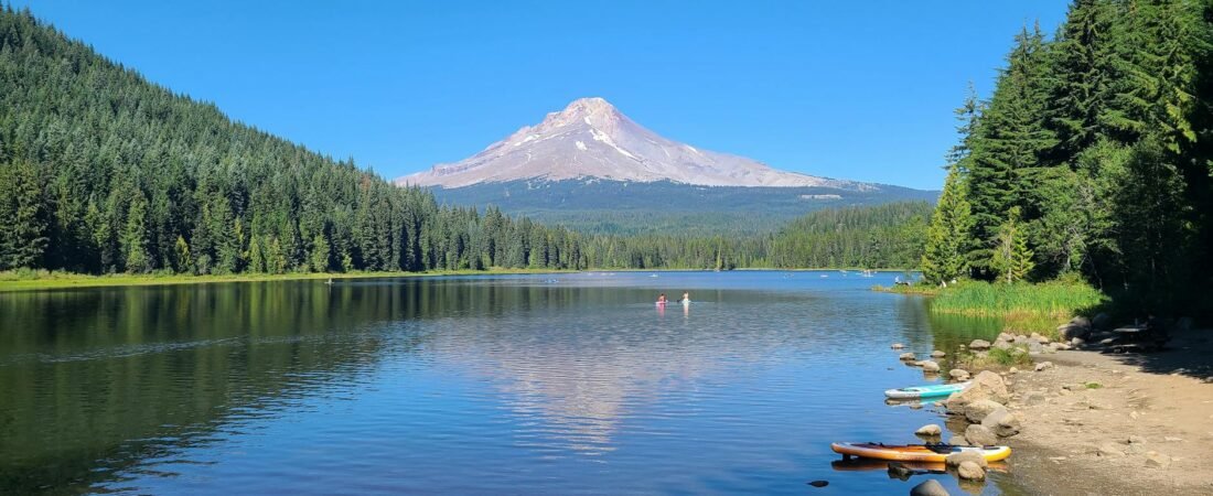 Oregon State Vs Oregon