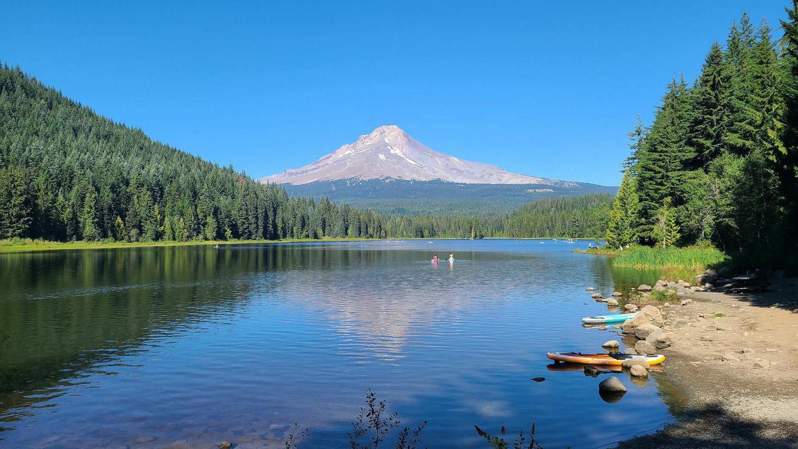Oregon State Vs Oregon