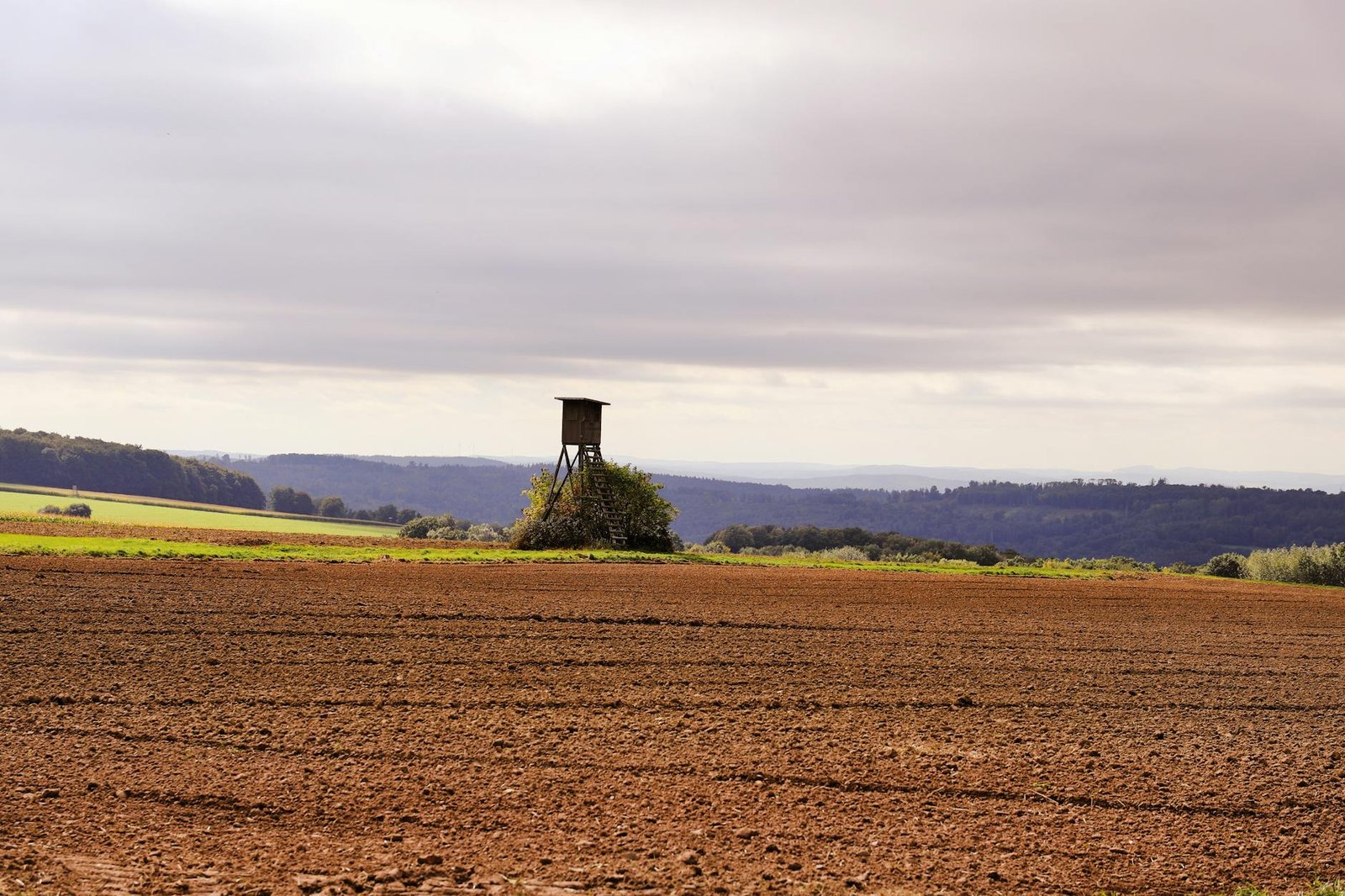 Sky Meadow Country Club