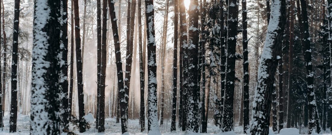 Intermittent Fasting: Still Relevant In The New Year?