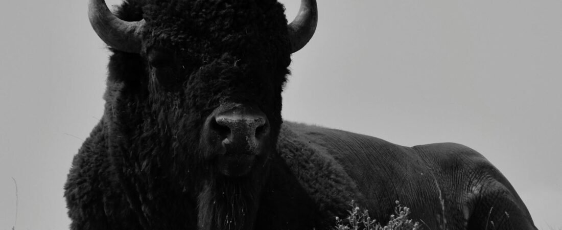 Kanye West Documentary